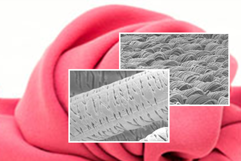 Toray Develops Qticle™, a Smooth and Supple New Fabric